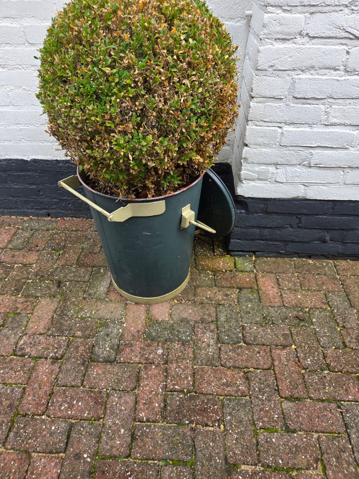 brocante zinken, zink vuilnisbak Utrecht met buxus plant, Ophalen