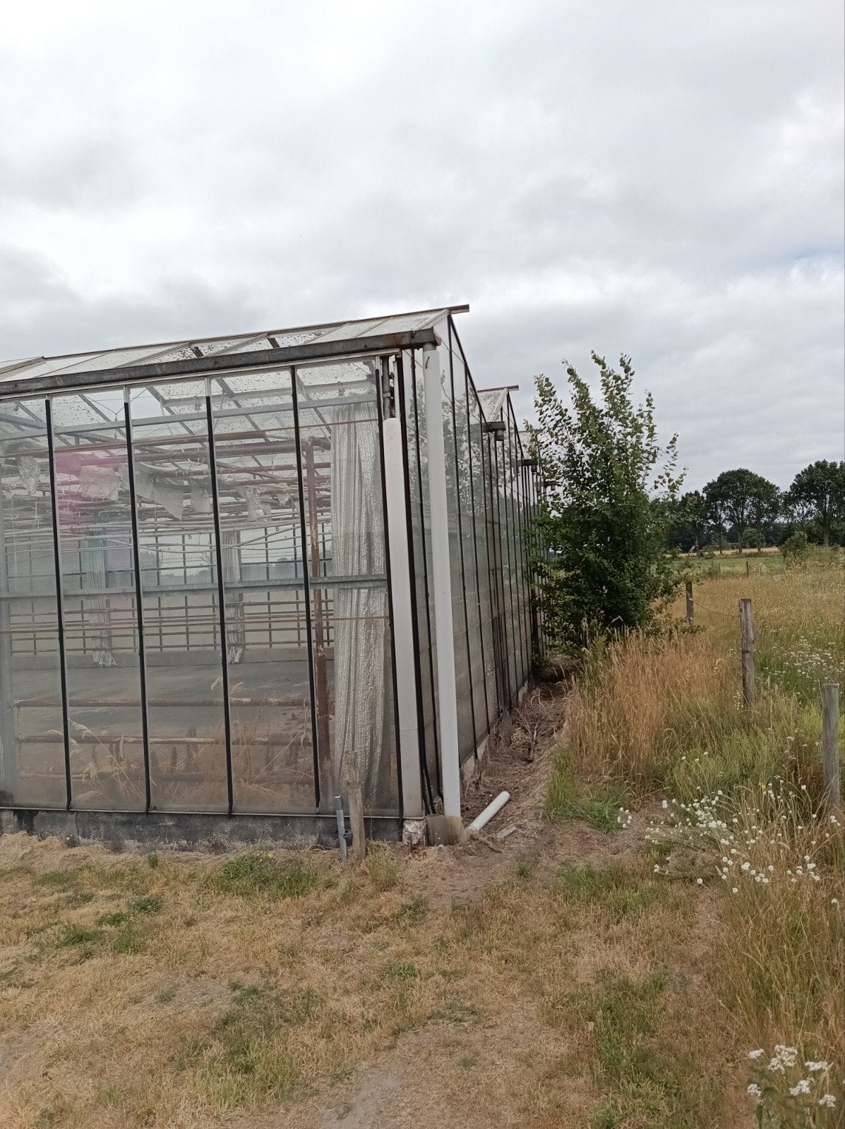 kas voor tuinbouw of hobby, Ophalen, Glas, Gebruikt, Aluminium