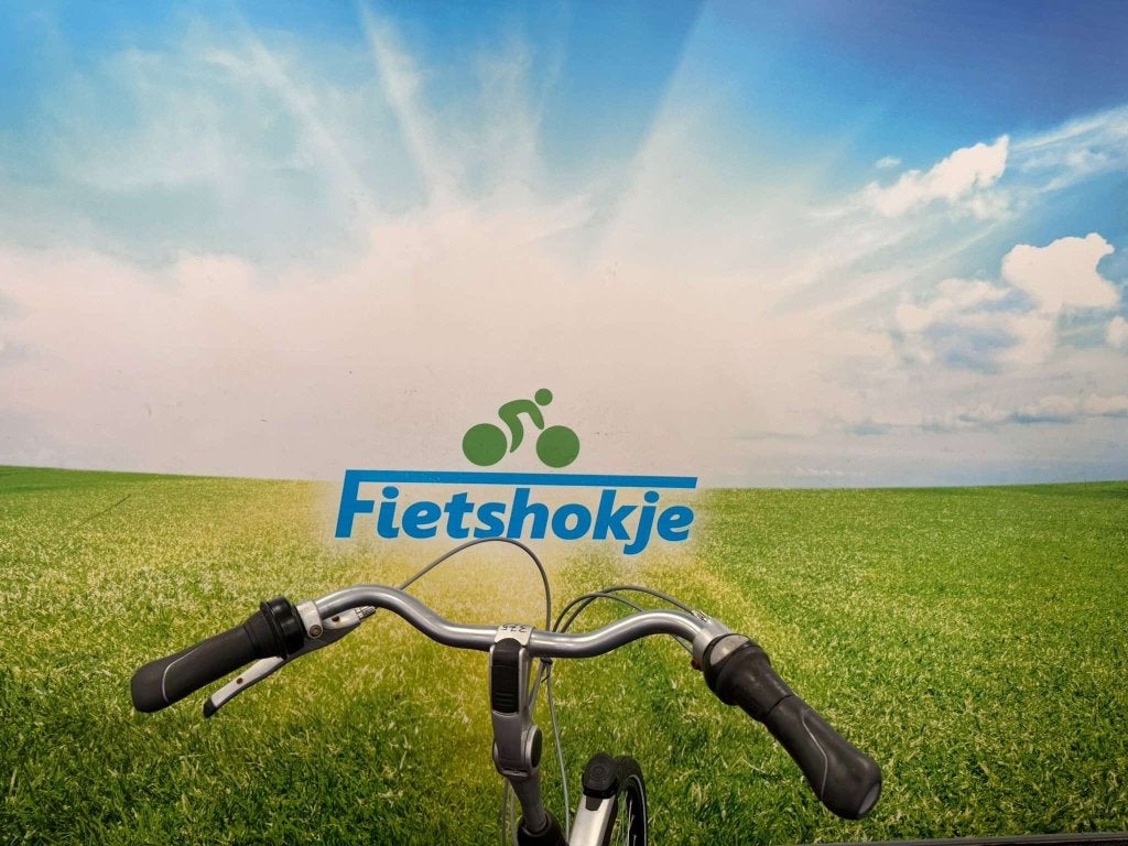 Fietshokje Amersfoort: Gazelle Orange herenfiets N7 H53, Niet ingevuld, Gebruikt, Versnellingen, Niet ingevuld