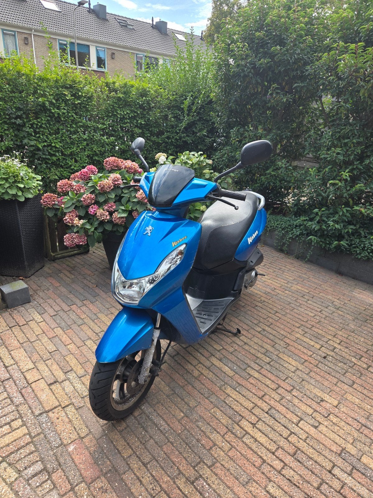 Peugeot Kisbee, Ophalen, Gebruikt, Benzine, Overige modellen