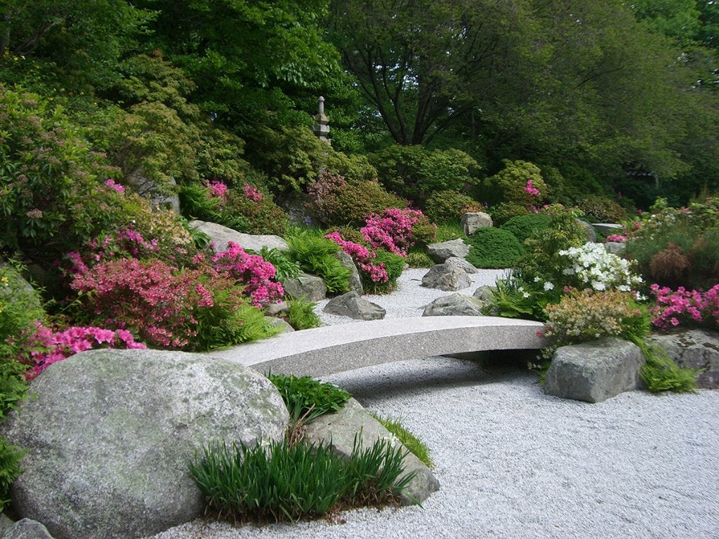 Tuinposter 200 x 266 cm (h x br.), Verzenden, Nieuw