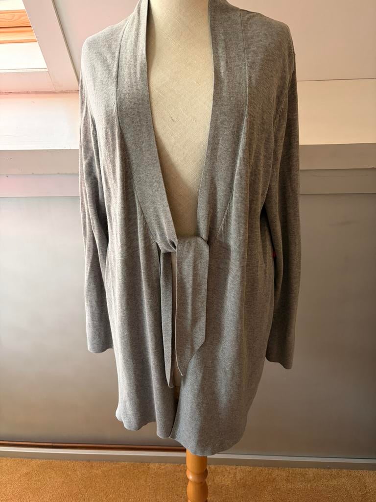 Jackpot Vest, Ophalen of Verzenden, Zo goed als nieuw, Maat 42/44 (L), Grijs