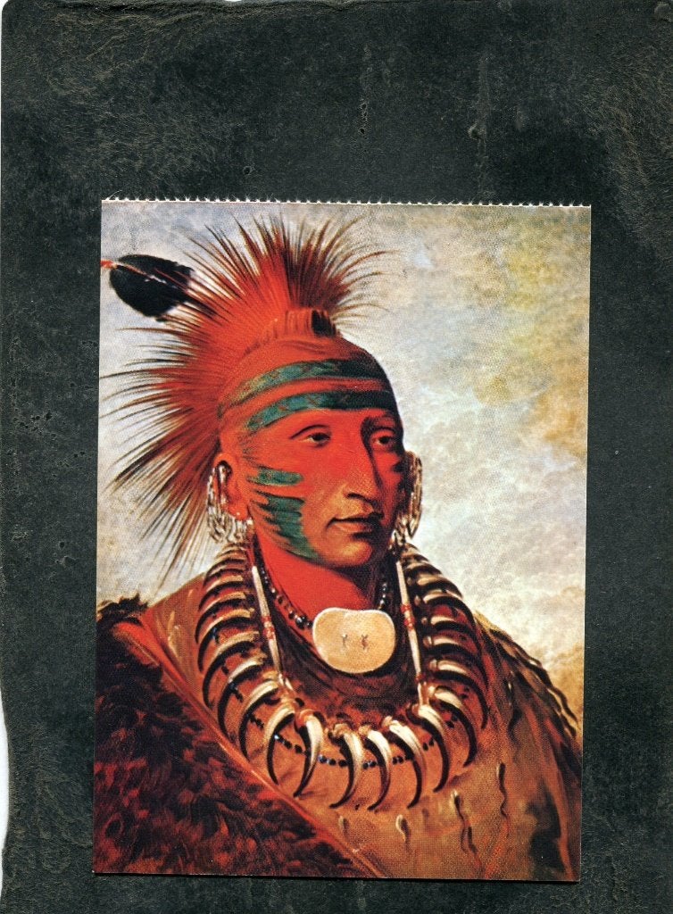 Ansicht George Catlin - Indianenopperhoofd, Verzenden, 1980 tot heden, Ongelopen, Overige thema's