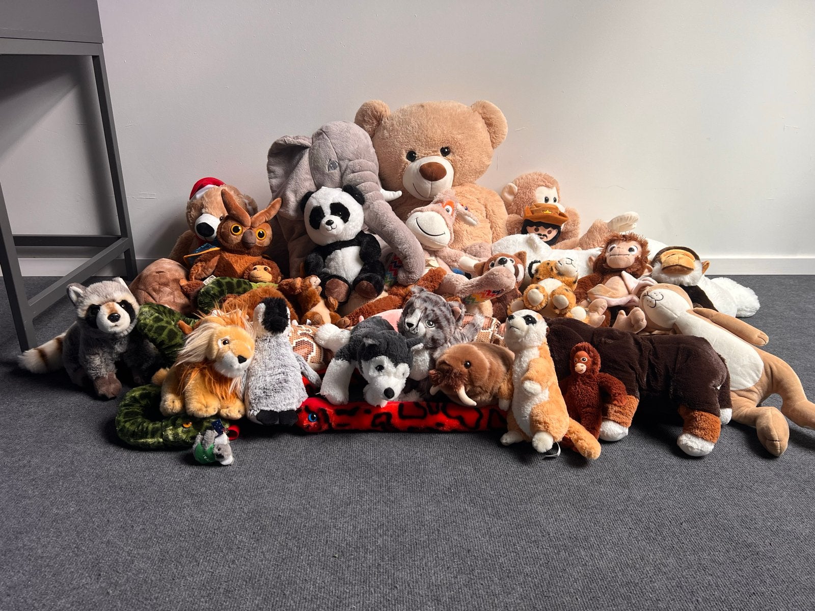 Grote collectie knuffels - Veel van dierentuinen afkomstig, Overige merken, Overige karakters, Overige typen, Ophalen of Verzenden