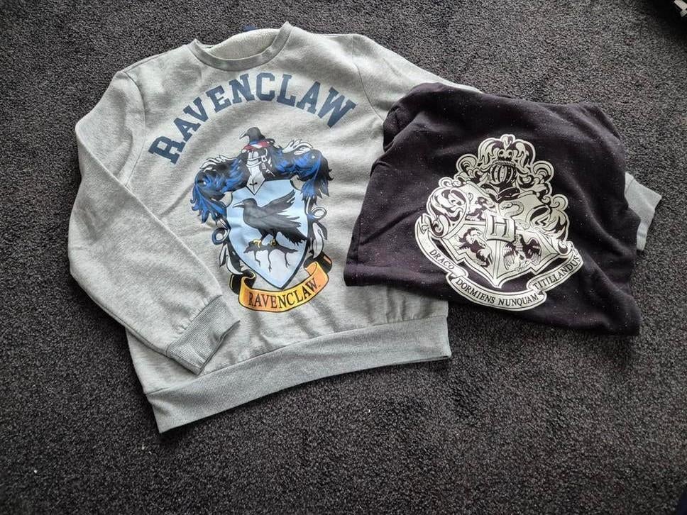Harry Potter truien, Ophalen of Verzenden, Zo goed als nieuw, Jongen of Meisje