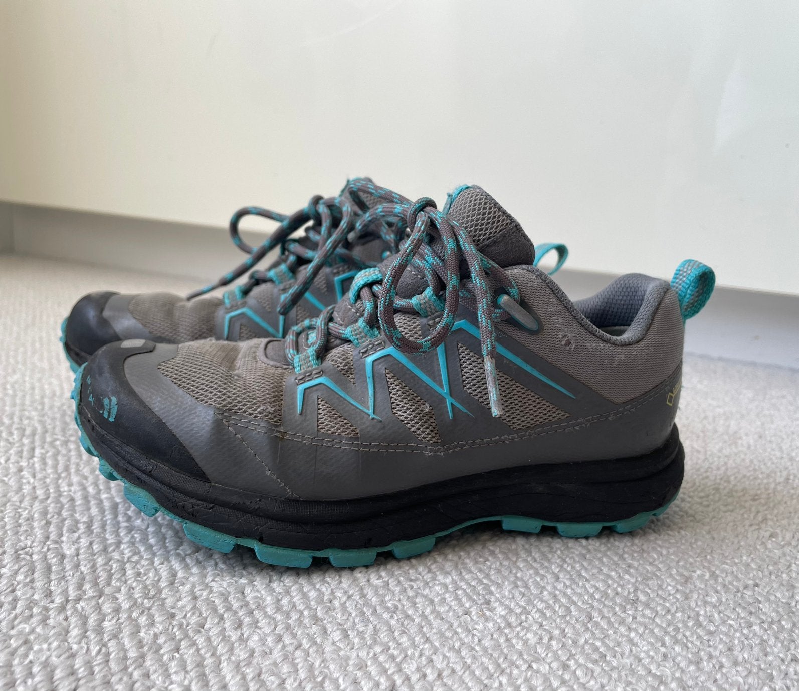 Wandelschoenen The North Face Goretex maat 36, Gebruikt, Jongen of Meisje, Schoenen, Ophalen of Verzenden