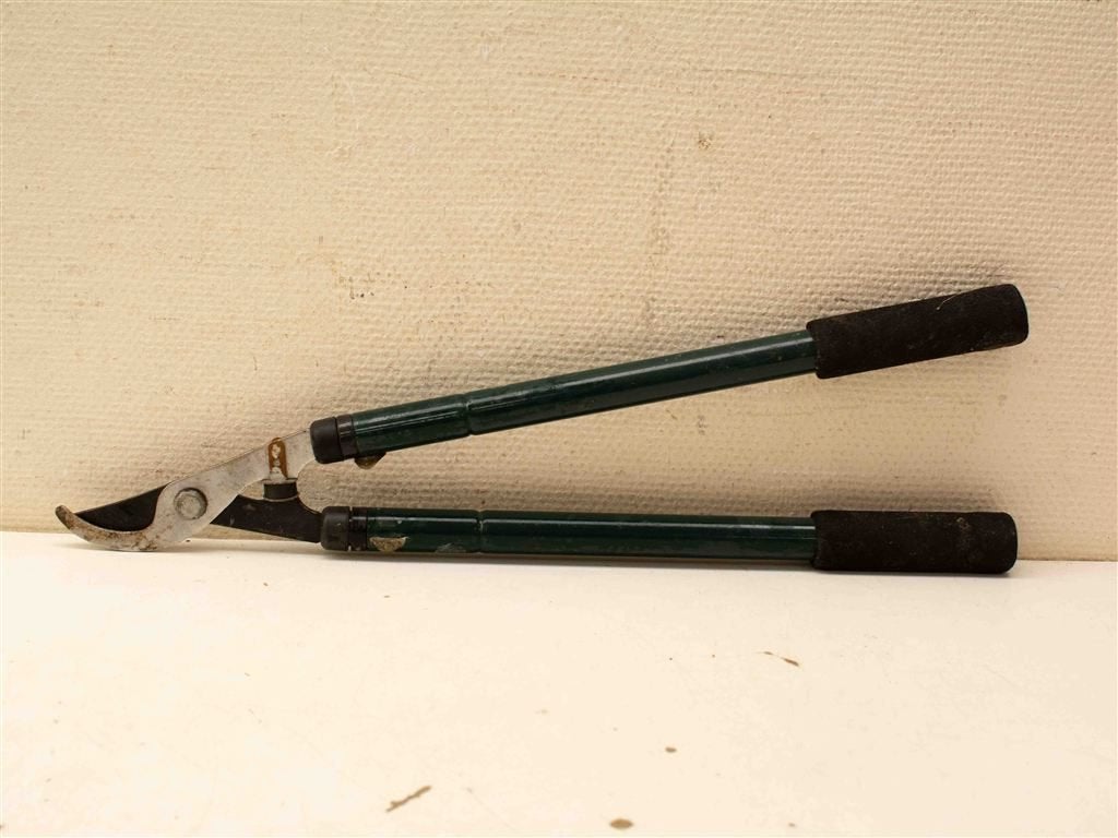 Takkenschaar 38557, Ophalen of Verzenden, Gebruikt, Onkruidsteker