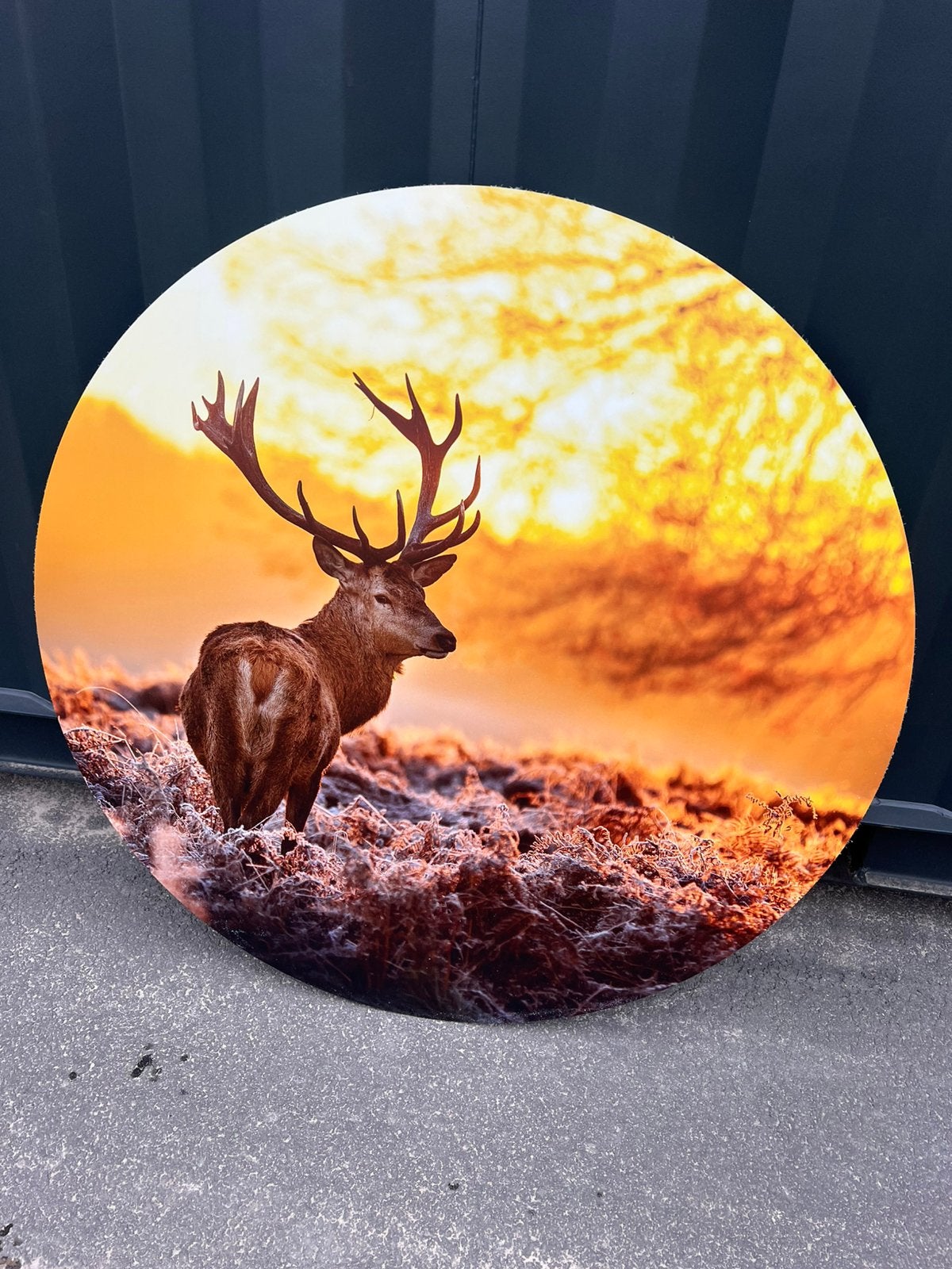 Wandcirkel / wooncirkel xl aluminium €35,-, Ophalen, Nieuw