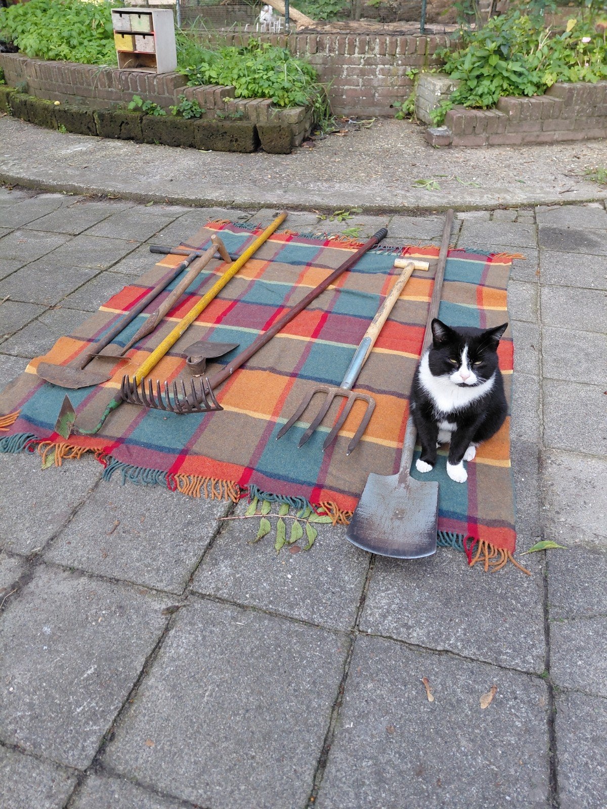 Diverse tuingereedschappen - Schop, hark, vork en meer, Tuin en Terras, Ophalen, Gebruikt, Schop