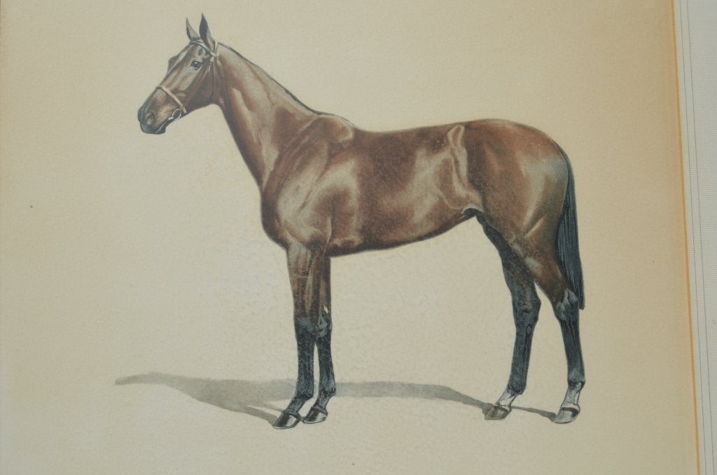Schitterende Litho Paard Jean Rivet gesigneerd, Antiek en Kunst, Kunst | Litho's en Zeefdrukken, Met glas, Ophalen of Verzenden