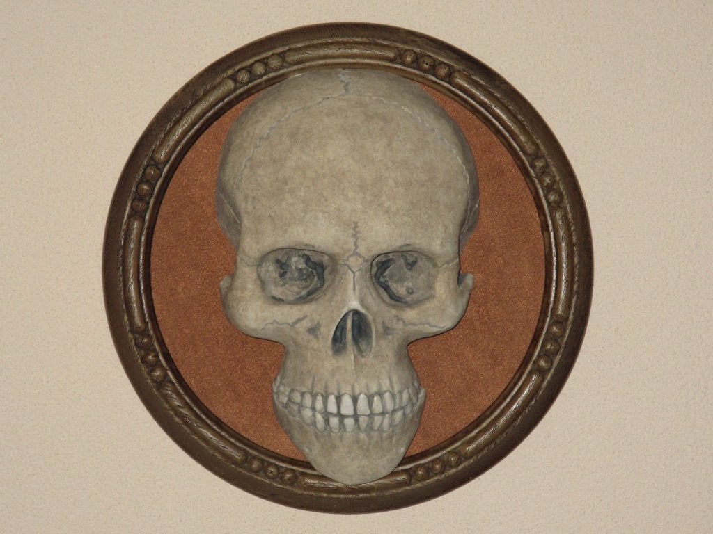 menselijke Schedel REPLICA op Wandbord, Skull mens Wanddeco, Antiek en Kunst, Curiosa en Brocante, Ophalen of Verzenden