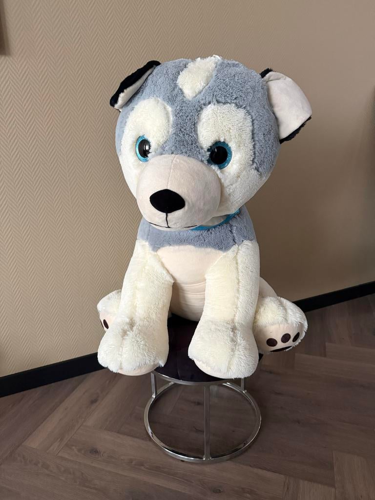 Grote zachte husky knuffel - NIEUW!!!, Ophalen, Overige merken, Overige karakters, Grijs