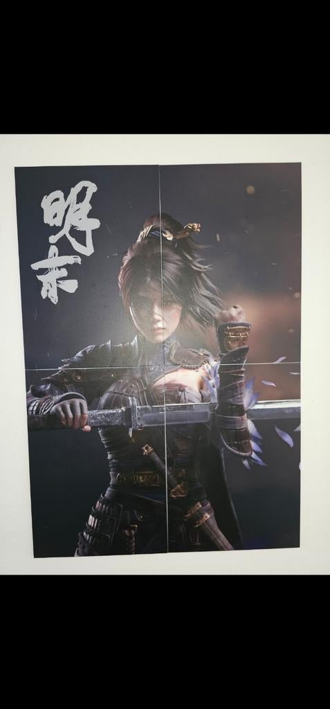 Mooie Wuchang Fallen Feathers Metal Poster, Ophalen