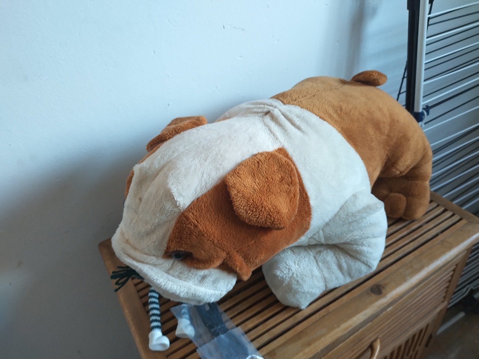 Grote zachte bulldog knuffel, Gebruikt, Overige merken, Overige karakters, Middelgroot (20 tot 80 cm)