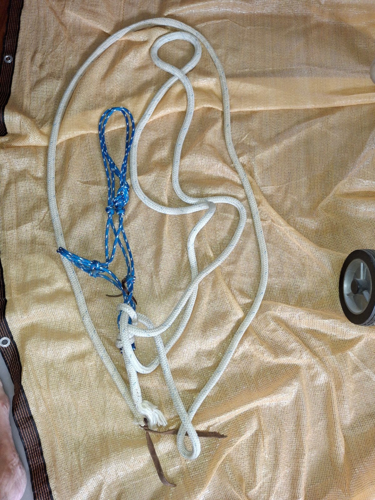 Parelli rope hackamore., Dieren en Toebehoren, Paarden en Pony's | Hoofdstellen en Tuigage, Ophalen