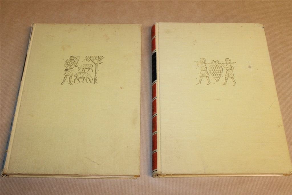 Groot Vertelboek Bijbel I + II — De Vries & Jetses [1964], Boeken, Ophalen of Verzenden, Gelezen
