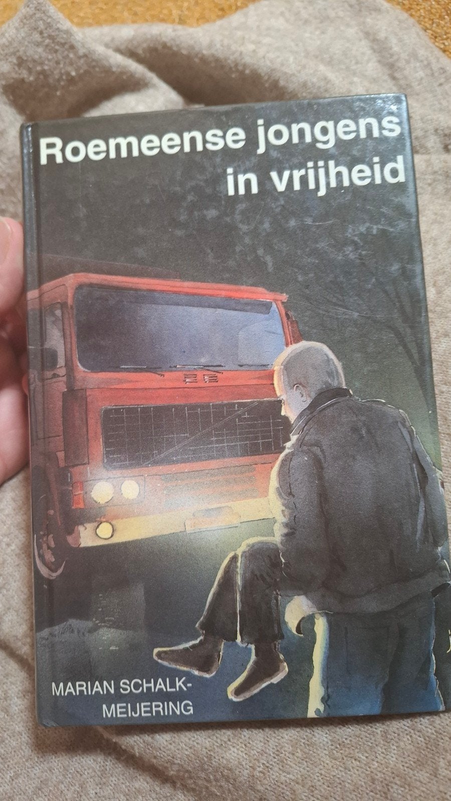 Marian Schalk Meijering, Roemeense jongens in vrijheid, Boeken, Ophalen of Verzenden, Fictie algemeen