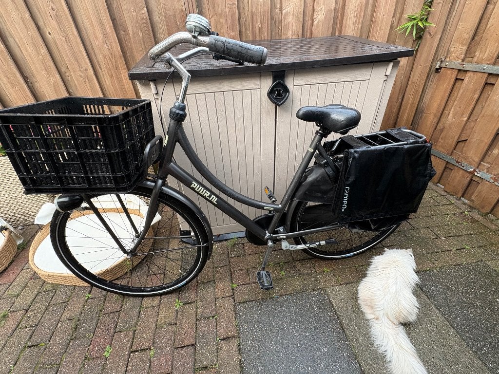 Gazelle puur transportfiets, Ophalen, Terugtraprem, 53 tot 56 cm, Versnellingen