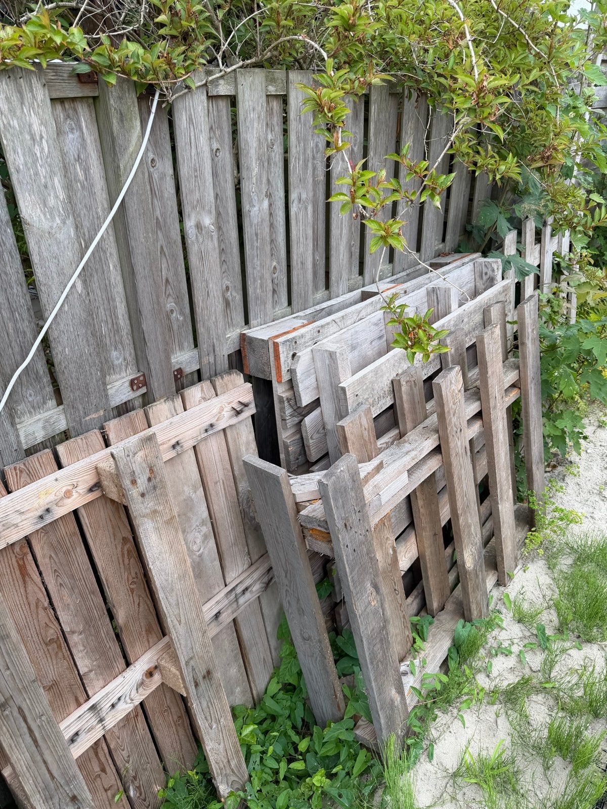 Gebruikte houten pallets voor diverse doeleinden, Ophalen, Gebruikt, Overige houtsoorten, Pallet