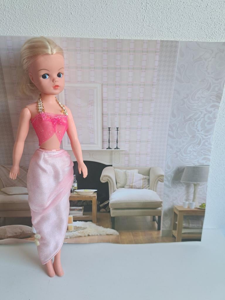 Top en rok roze voor barbie sindy fleur excl pop, Ophalen of Verzenden, Gebruikt