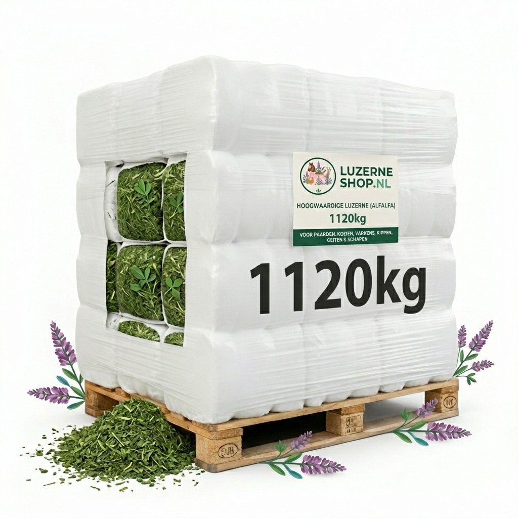Luzerne Plus balen, voor vee, paarden,  pluimvee, Ninaberlaan 24, Nieuw, Info@luzerneshop.nl, Luzerneshop.nl