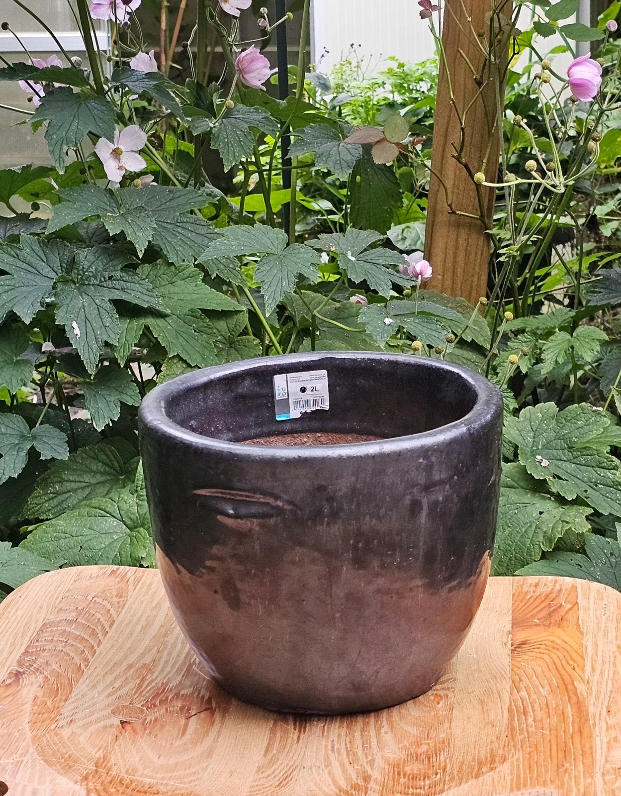 Northcote Pottery Mod Egg Bloempot – 2L Zwaar Geglazuurd Ter, Rond, Ophalen of Verzenden, Zo goed als nieuw, Binnen