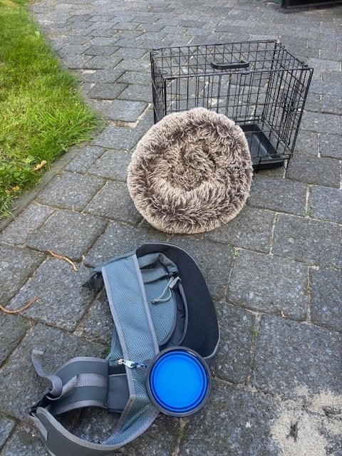 Draagtas voor honden, Ophalen of Verzenden, Nieuw