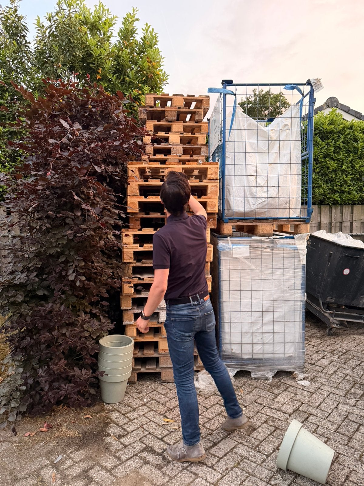 (34 stuks)euro pallet te koop, Ophalen
