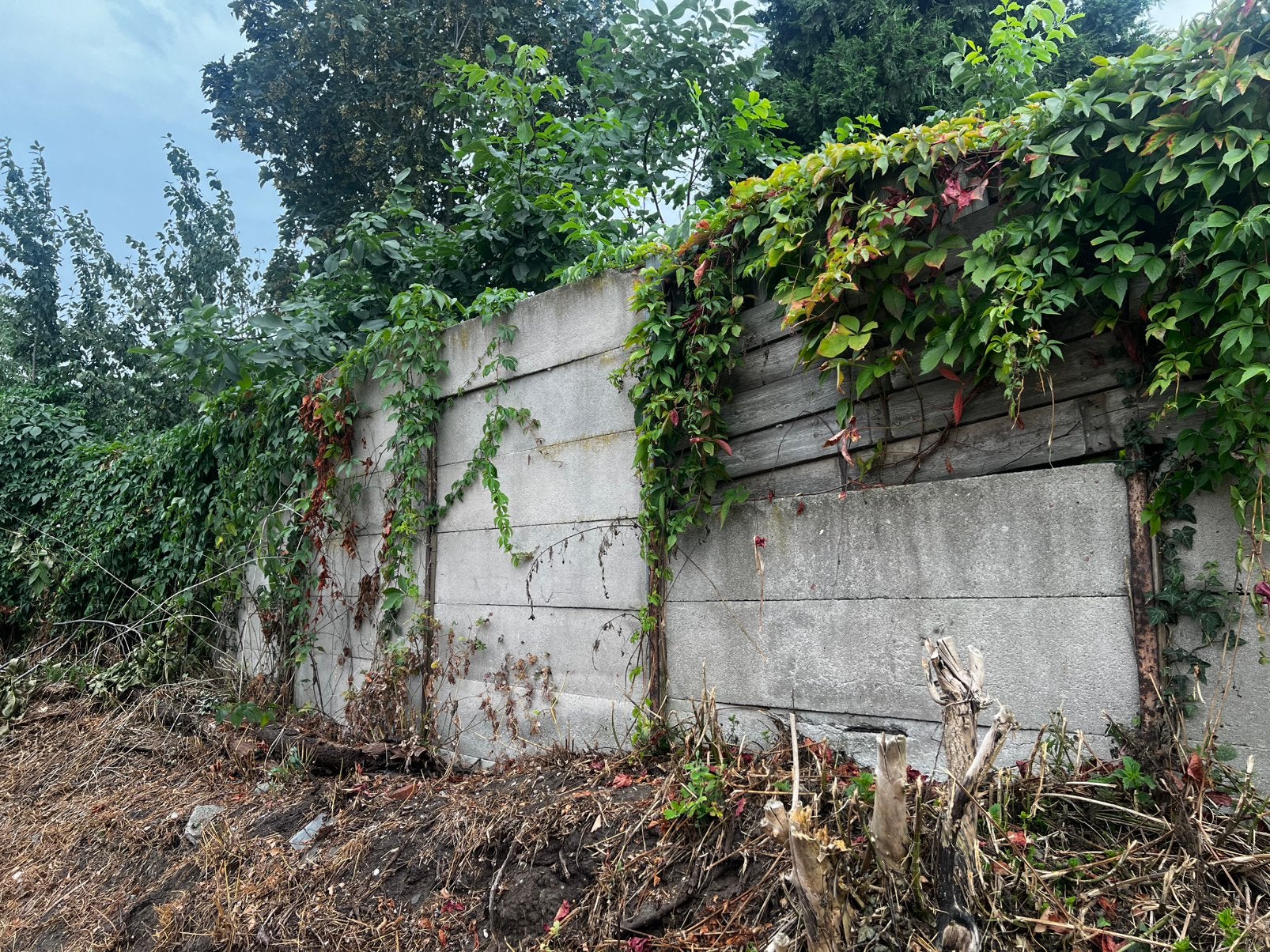 Verschillende bewapende betonplaten, Tuin en Terras, Ophalen of Verzenden, Zo goed als nieuw