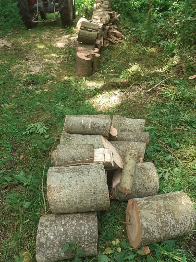 Brandhout, Minder dan 3 m³, Ophalen, Essenhout, Blokken