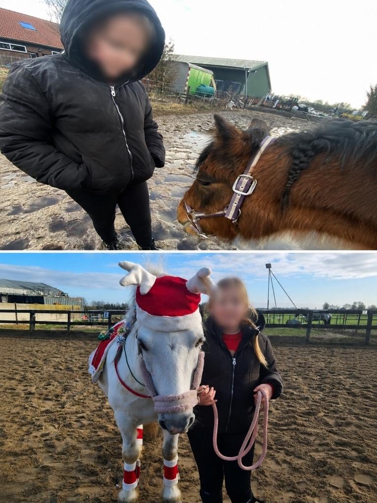 Verzorg pony gezocht, Ophalen of Verzenden
