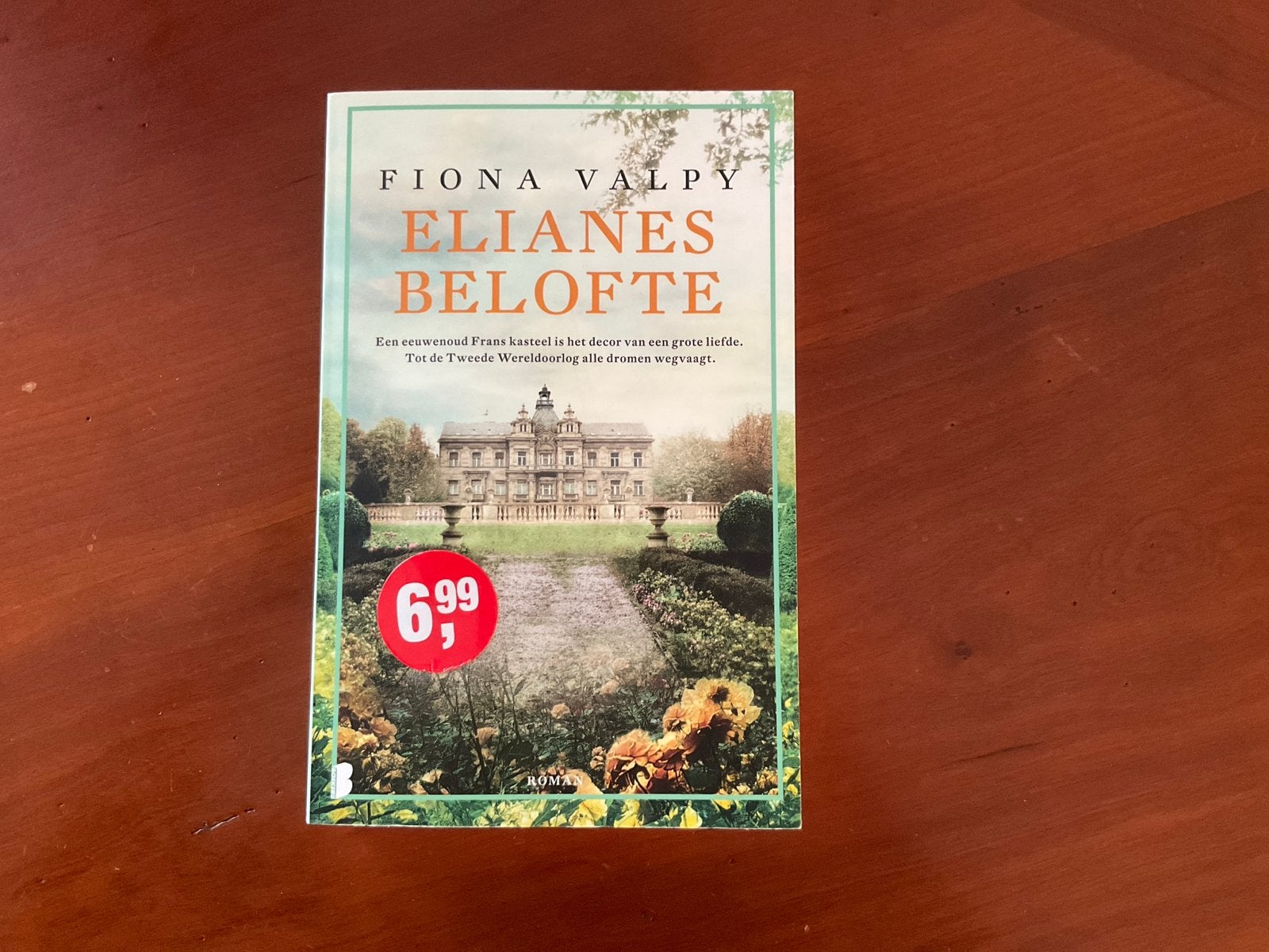 Elianes Belofte - Fiona Valpy (Roman), Ophalen of Verzenden, Zo goed als nieuw, Europa overig