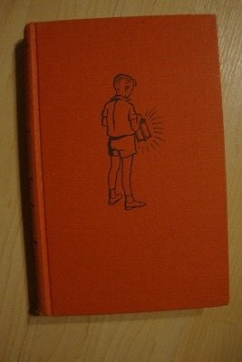 SOMS DRAGEN KINDEREN LAMPEN   Annie Ferwerda-vd Berg, Boeken, Romans, Ophalen of Verzenden, Gelezen, Nederland