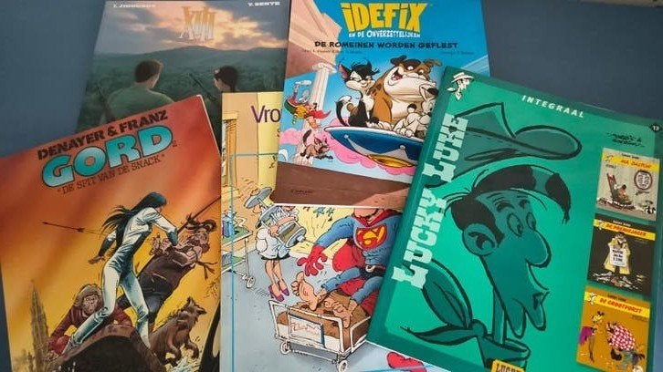 Div stripboeken: Lucky Luke, XIII, Gord, Idefix, Vrouwen, Boeken, Meerdere stripboeken, Ophalen, Gelezen
