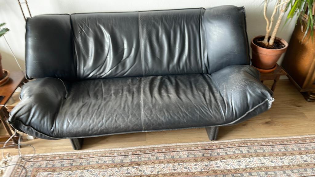 Leolux Tango 2,5 zits bank, Huis en Inrichting, Banken | Bankstellen, Ophalen, Gebruikt, Design, Tweepersoons