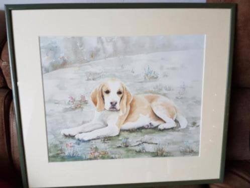 Prachtige originele Aquarel Bep van Os hond jachthond, Ophalen