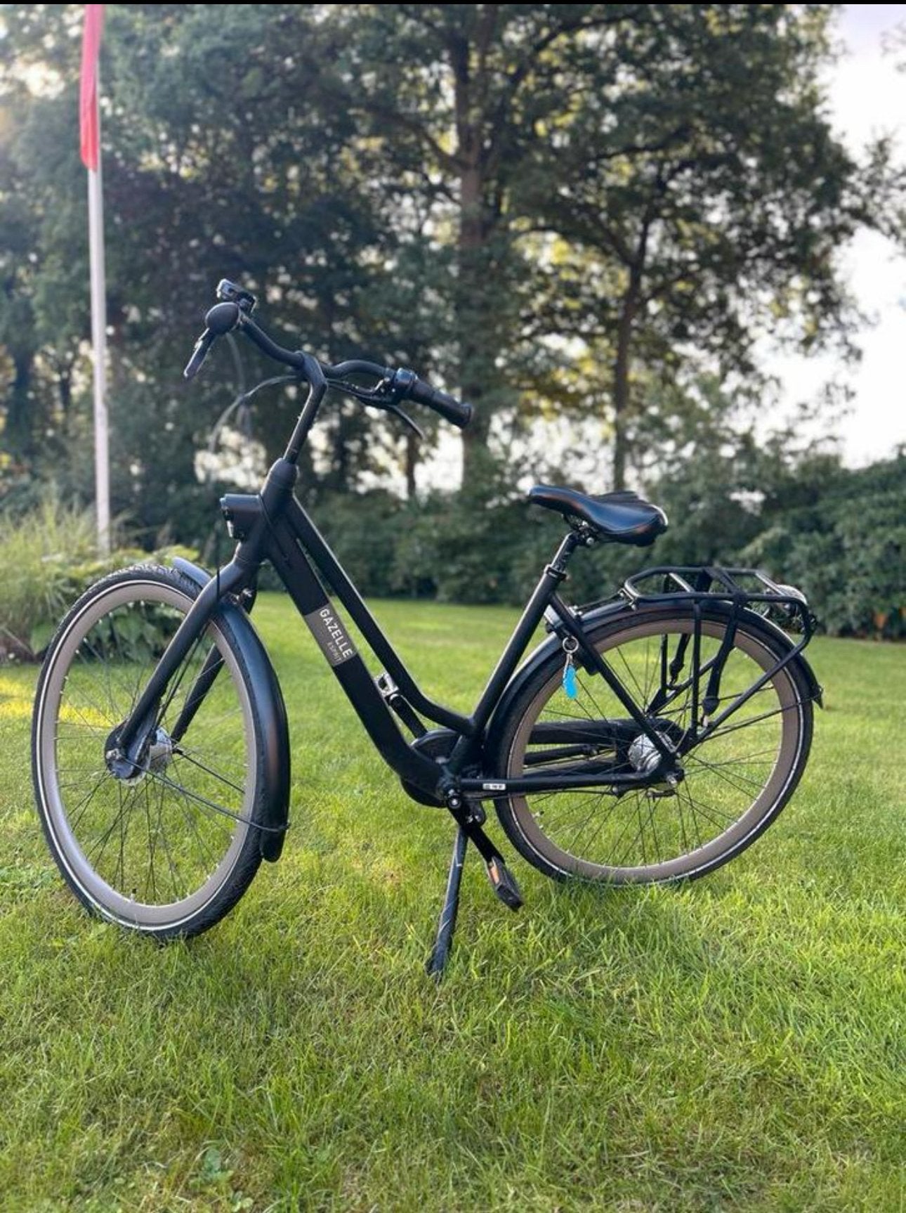 Gazelle Esprit D54, 53 tot 56 cm, Versnellingen, Ophalen of Verzenden, Zo goed als nieuw