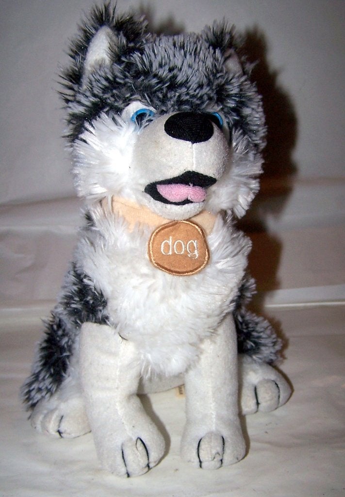 Mooie "Paws" hond knuffel. Nieuwstaat., Overige merken, Zo goed als nieuw, Wasbaar, Middelgroot (20 tot 80 cm)