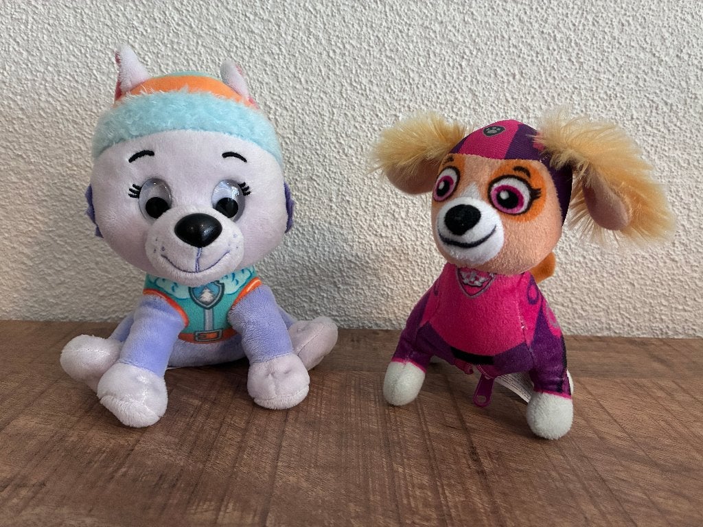 De meisjes van de PAW Patrol: knuffels Skye en Everest. ZGAN, Paw Patrol, Ophalen of Verzenden, Zo goed als nieuw, Hond