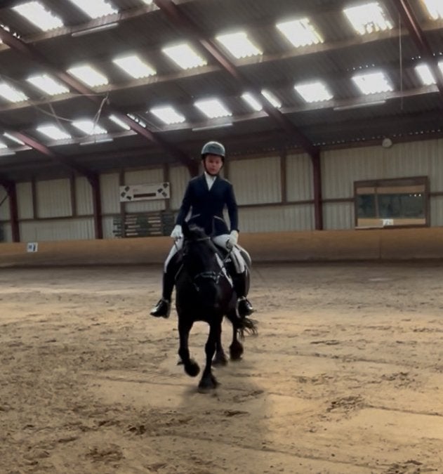 Verzorg/bijrijdpony gezocht omgeving denbosch/berlicum, Ophalen of Verzenden, Zo goed als nieuw