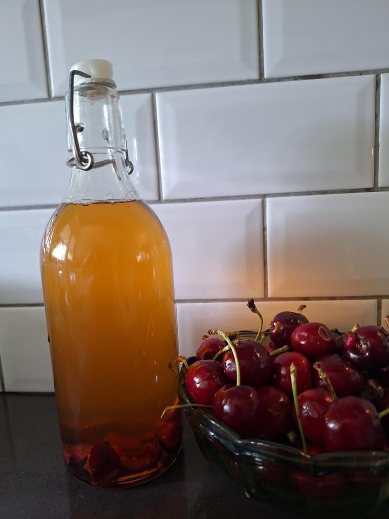 Kombuca - maak je eigen fermented drank, Ophalen