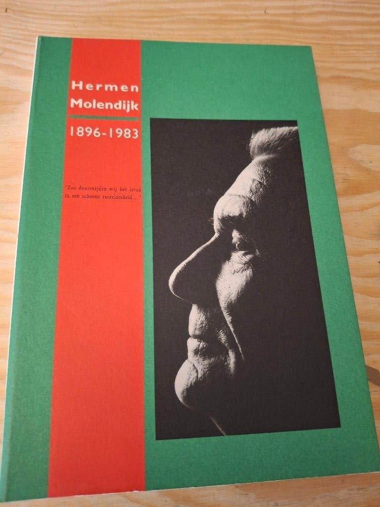 Hermen Molendijk 1896-1983 - Biografie, Onbekend, Gelezen, Verzenden, Overige