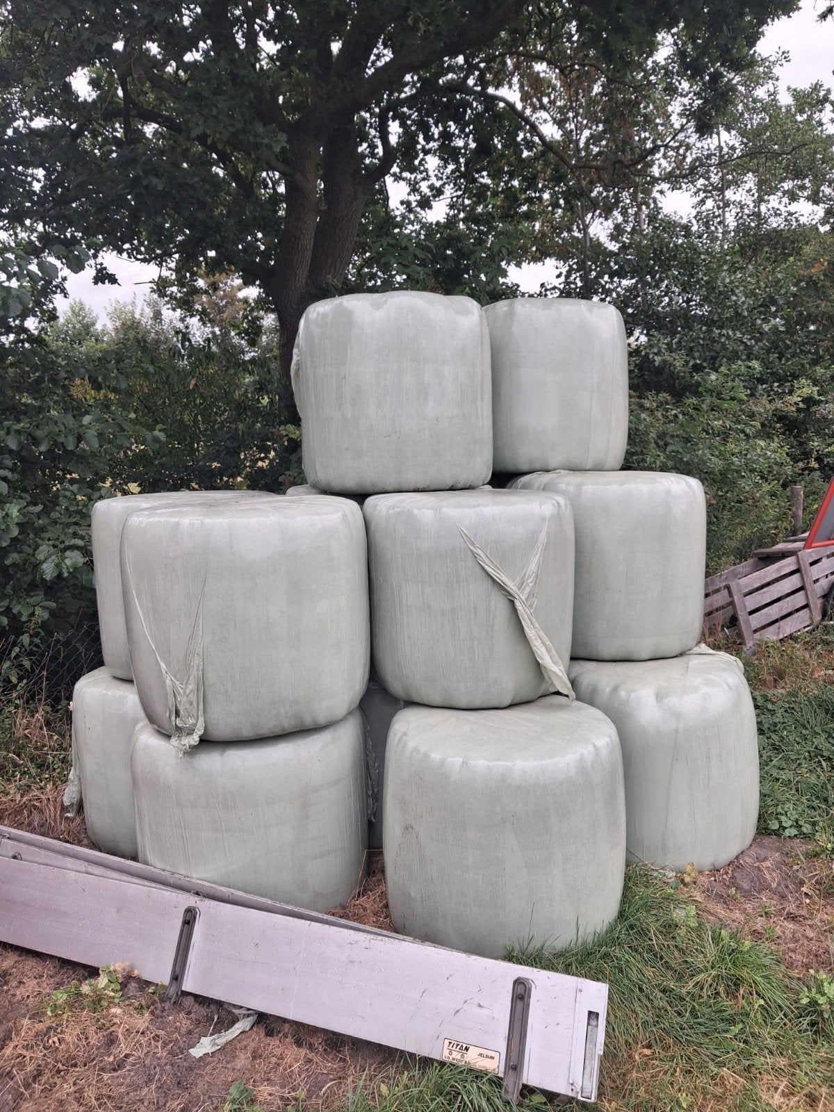 midi balen hooi balen, Dieren en Toebehoren, Ophalen, Vee