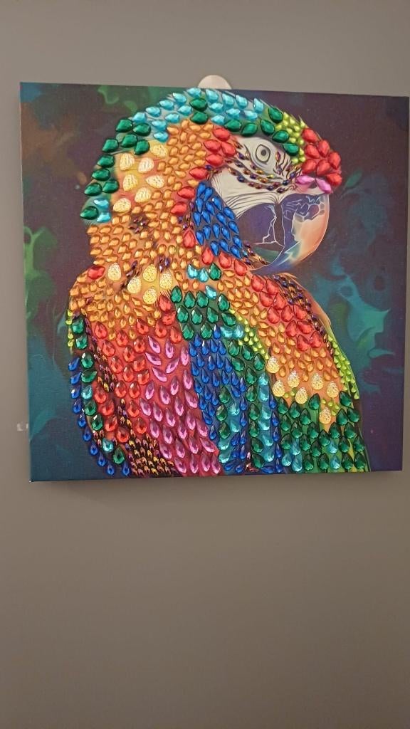Diamond Painting - Papegaai, Ophalen, Nieuw, Knutselwerk