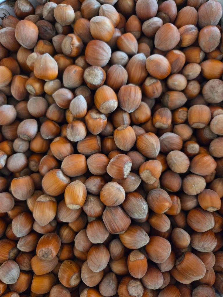 Biologisch geteelde hazelnoten van plantage "Hasseletheim", Ophalen of Verzenden