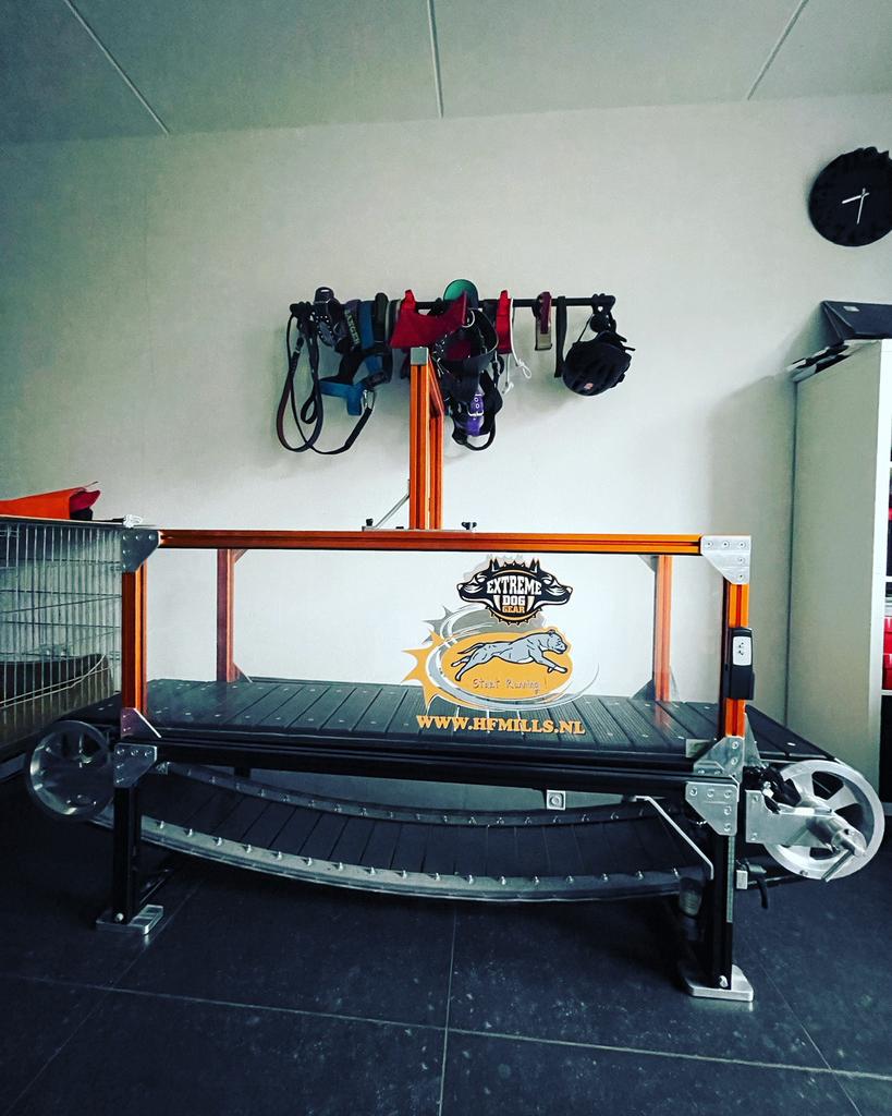 - IN PRIJS VERLAAGD- HF MILLS Honden loopband Te Koop., Dieren en Toebehoren, Ophalen of Verzenden, Zo goed als nieuw