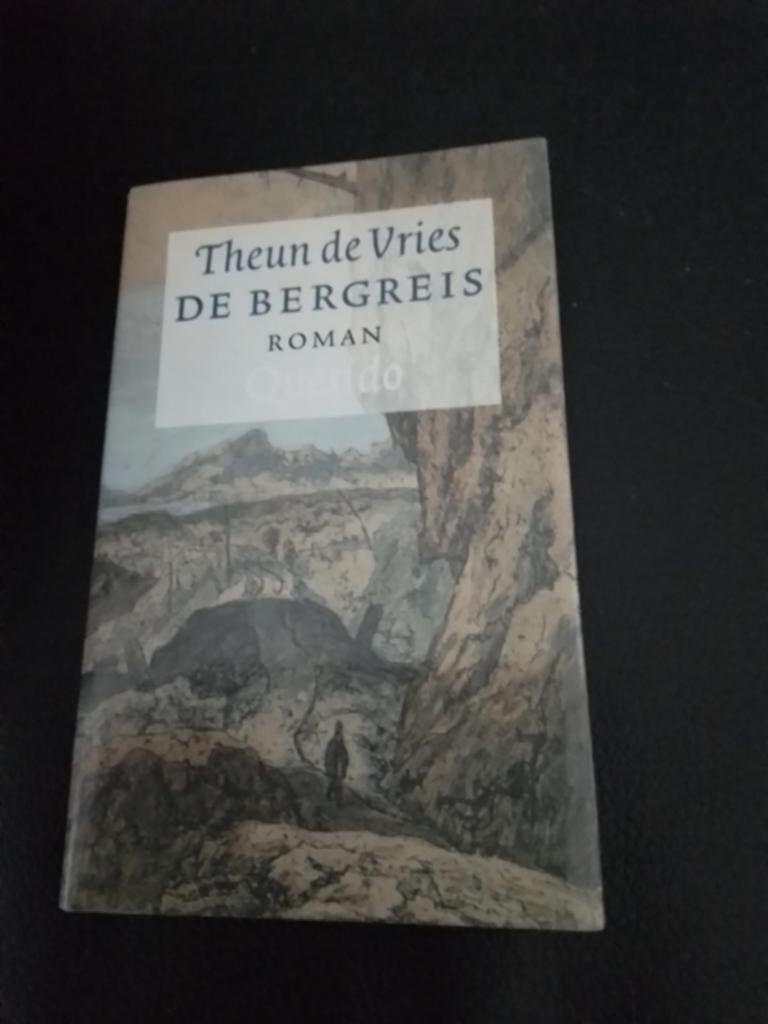 De Bergreis - Theun de Vries, Ophalen of Verzenden, Zo goed als nieuw, Theun de Vries, Nederland