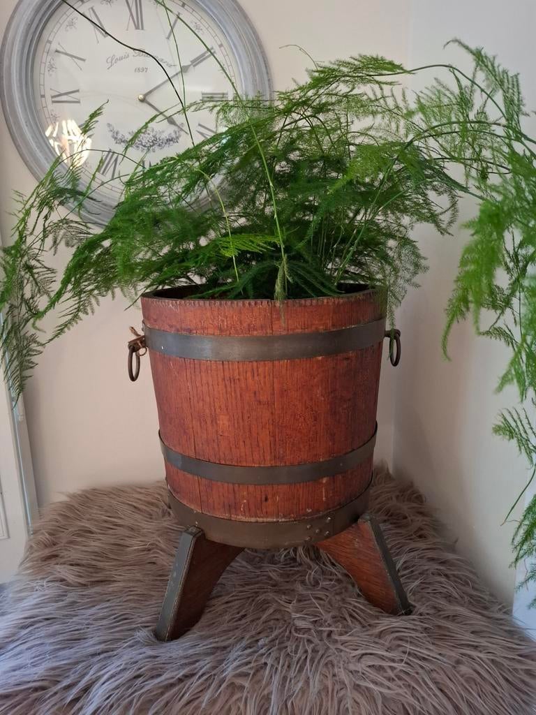 Stoer sober landelijk houten bak plantenbak bloempot, Ophalen, Zo goed als nieuw, Rond, Hout