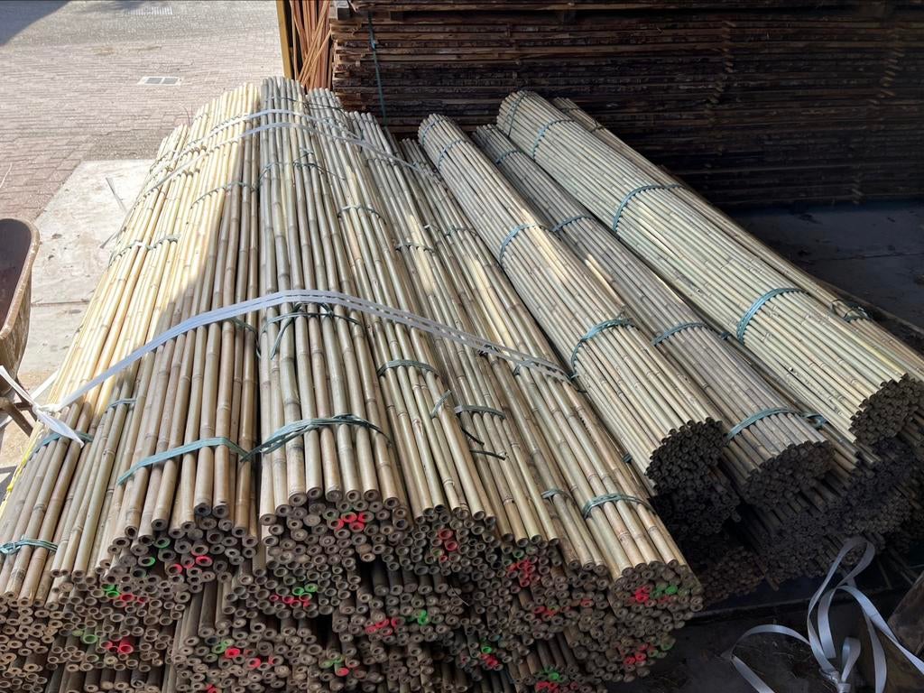 Bonenstokken bamboestok tonkin plantondersteuning moestuin, Tuin en Terras, Gerard Krale, Nieuw, Ophalen of Verzenden, Info@gkrale.nl