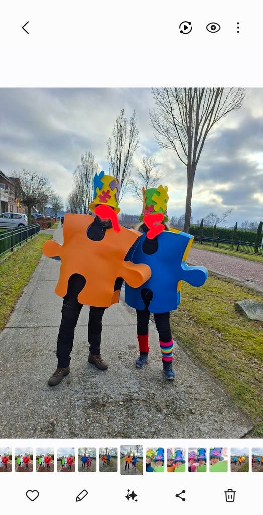 Carnavalskleding 8 Puzzelstuk met hoed en puzzelstuk op kar, Maat 38/40 (M), Carnaval, Ophalen of Verzenden, Zo goed als nieuw